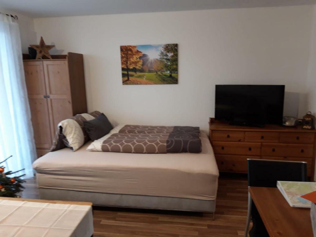 Apartment Kendlbacher Zell am See Zewnętrze zdjęcie